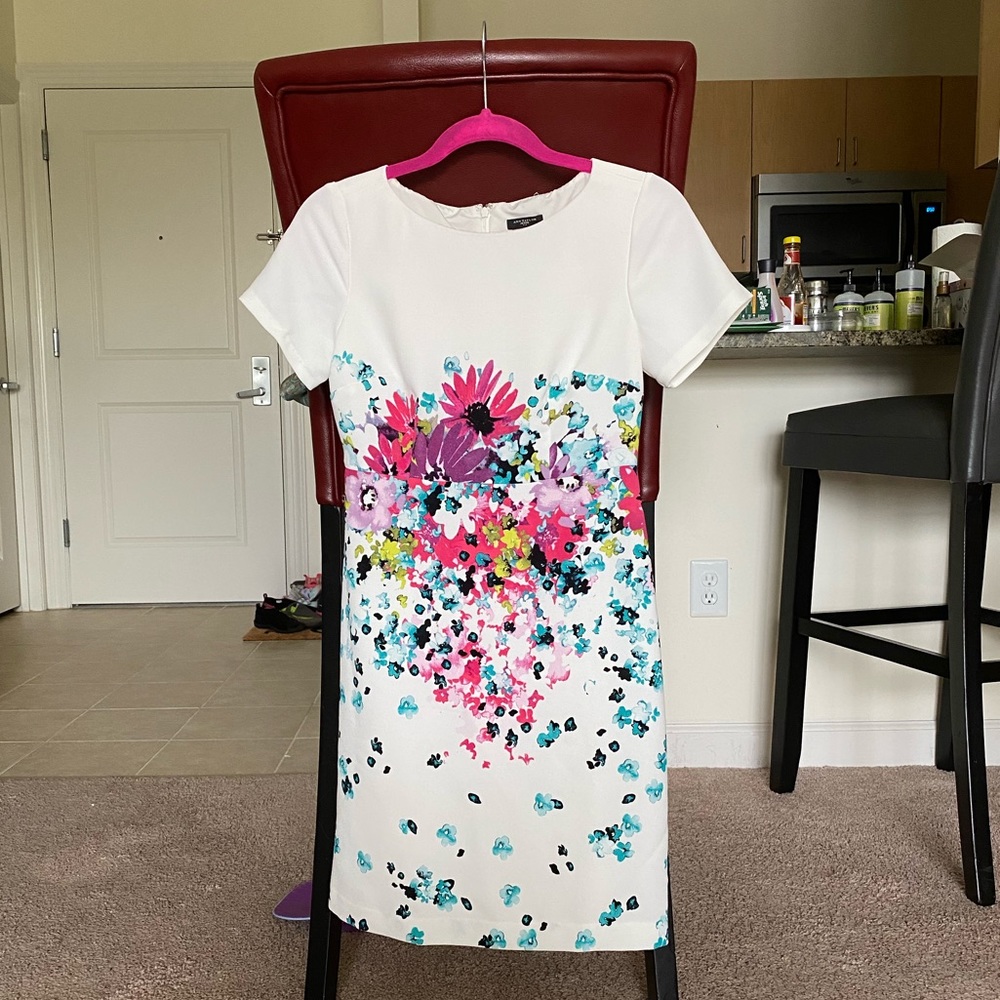 Ann Taylor Dress - 0P